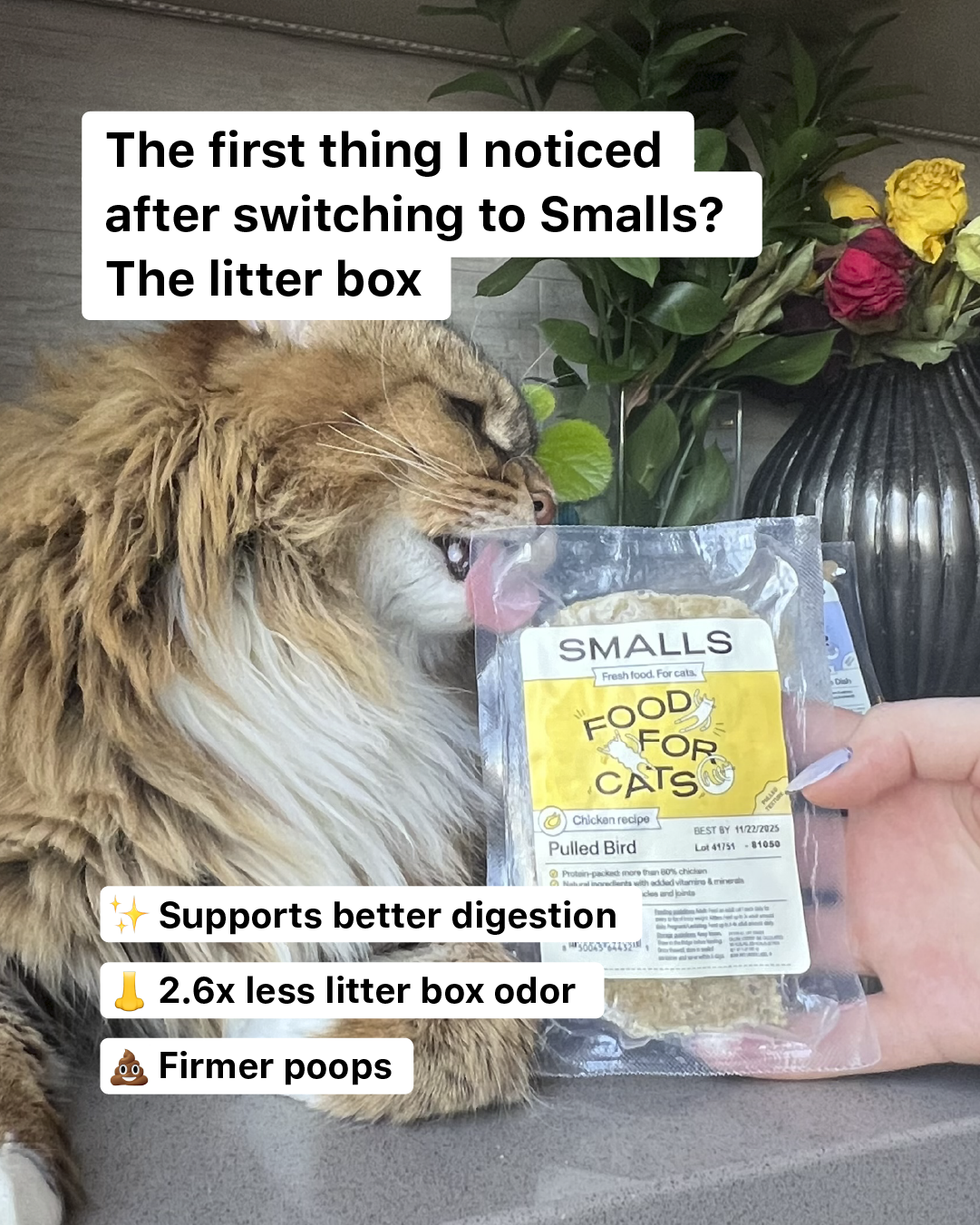 Smalls Facebook ad