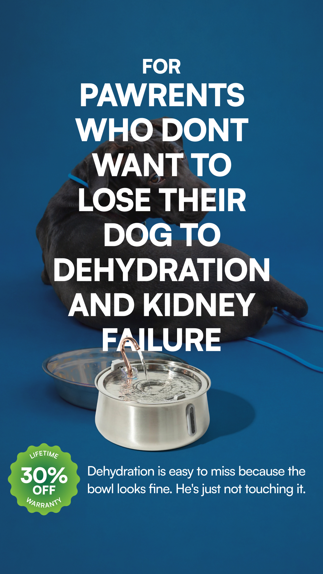 Rhykin Pet Co Facebook ad