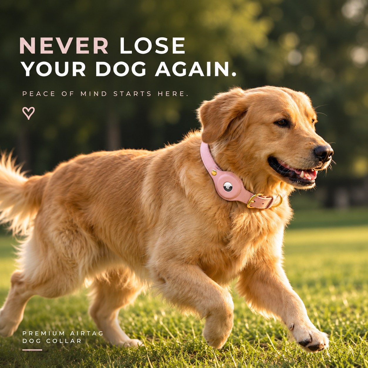 PawMa Facebook ad