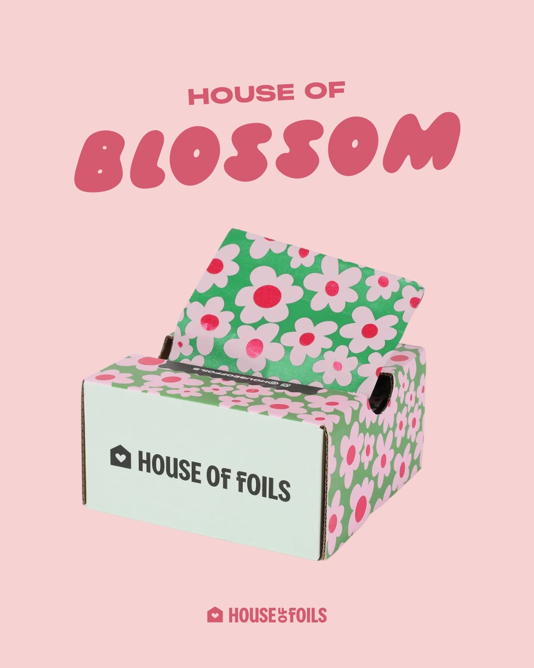 House Of Foils Facebook ad from Jun 5, 2026