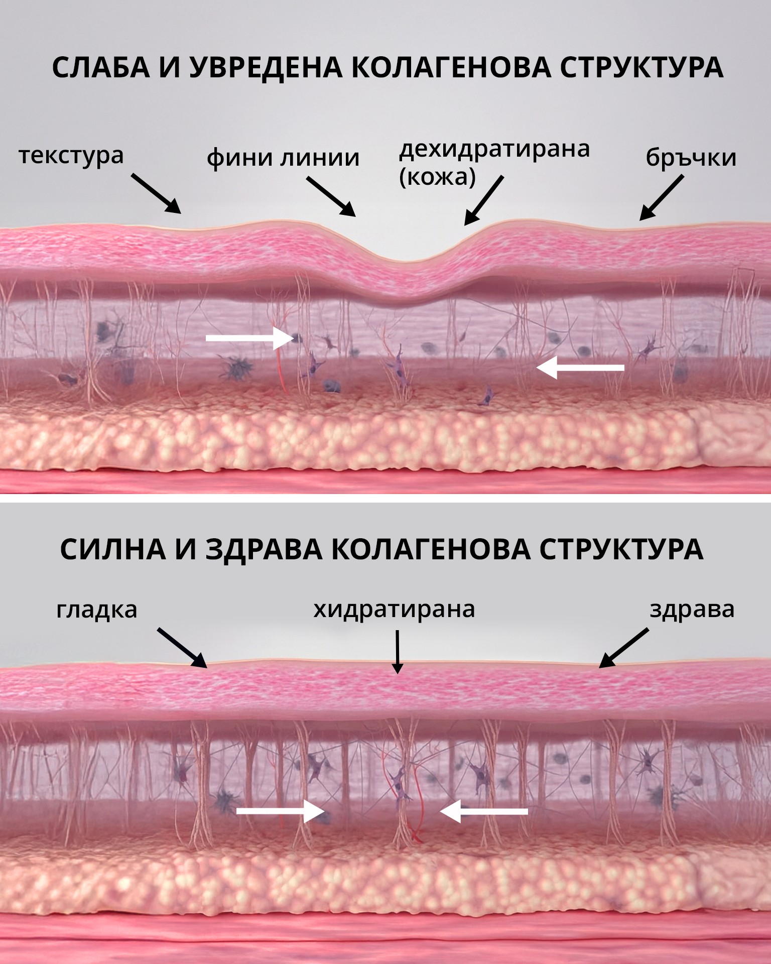 Biohack Science Facebook ad