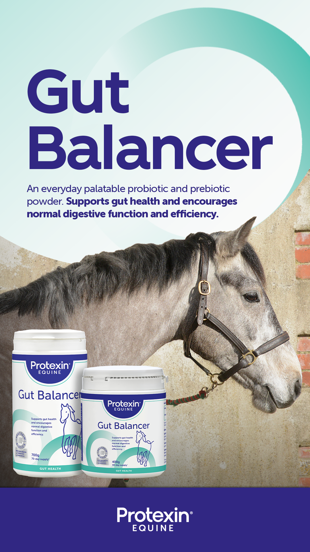 Protexin Equine Facebook ad
