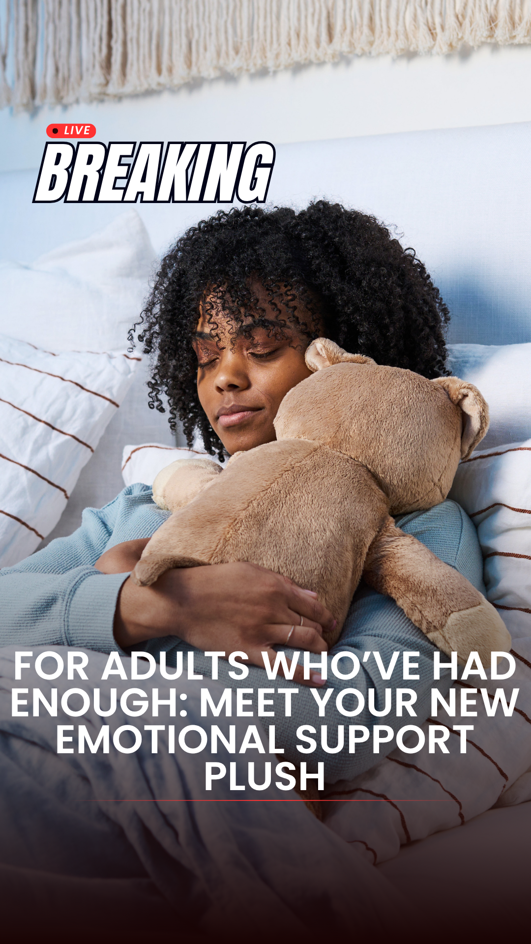 Hugimals Facebook ad: The Plush That Wraps You In a Hug