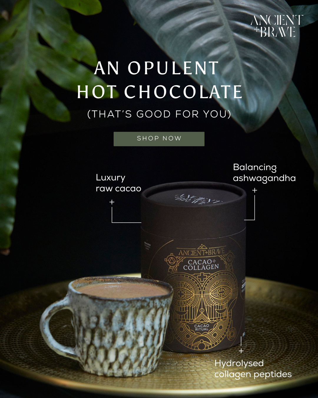 Ancient + Brave Facebook ad
