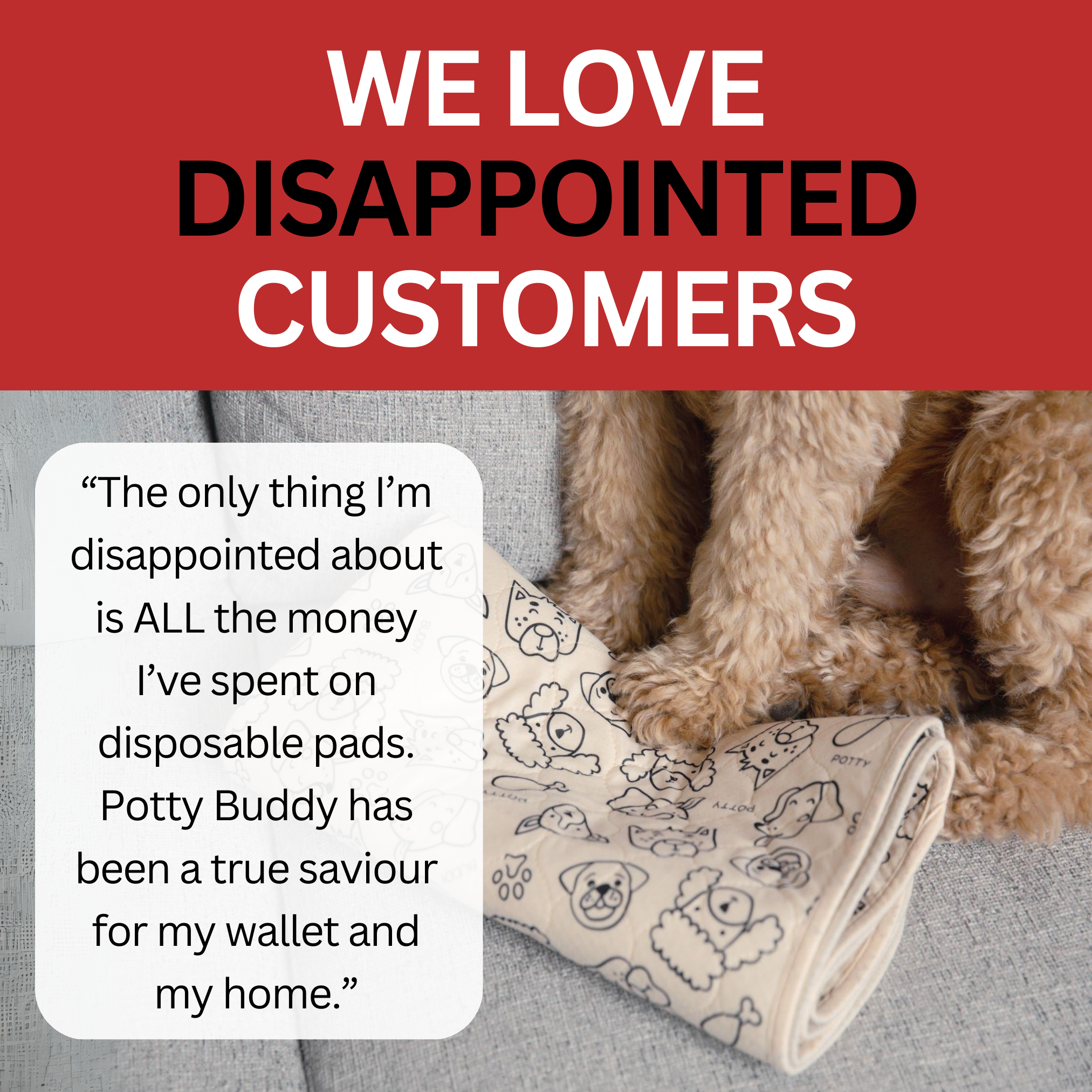 Potty Buddy Facebook ad