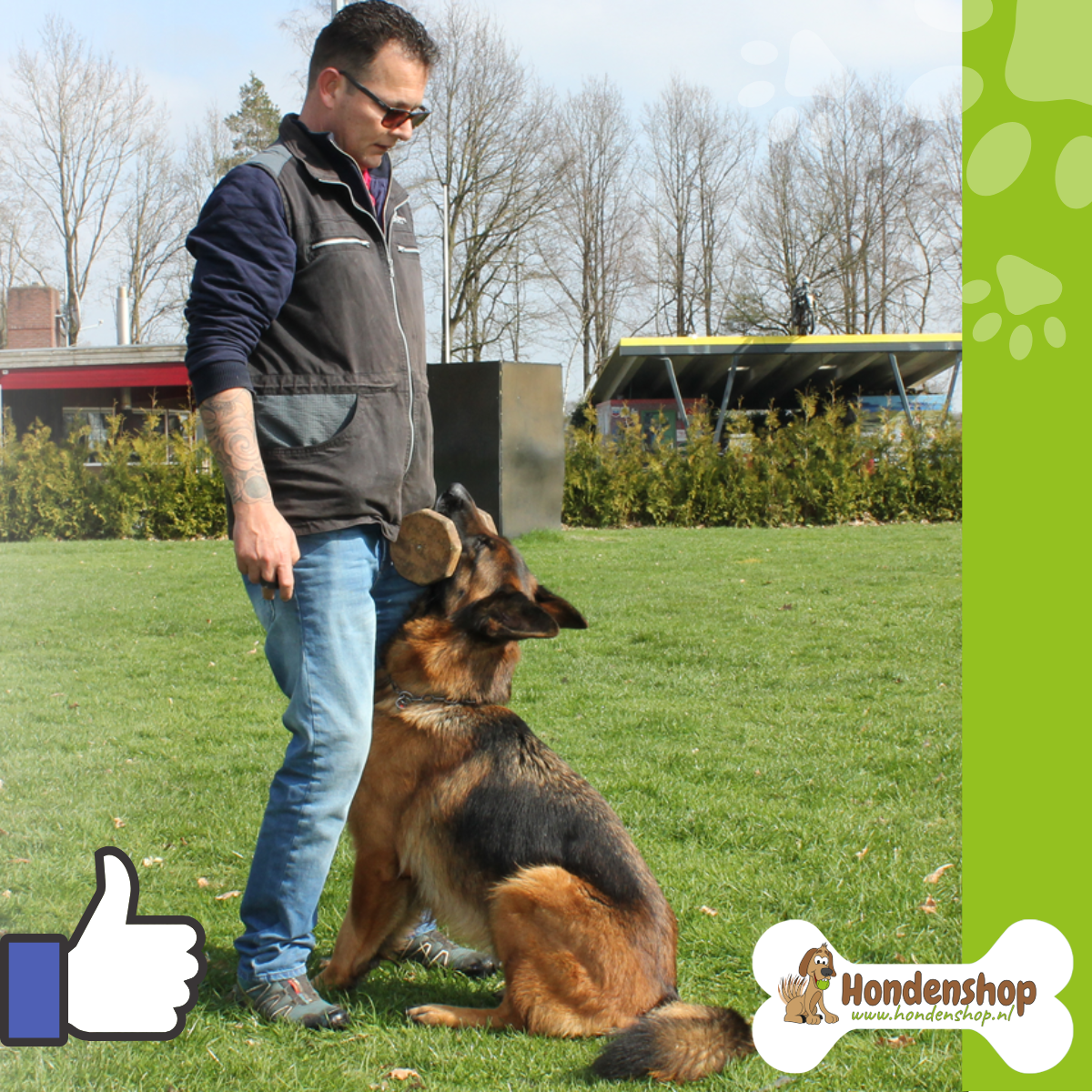 Online Hondenschool Facebook ad