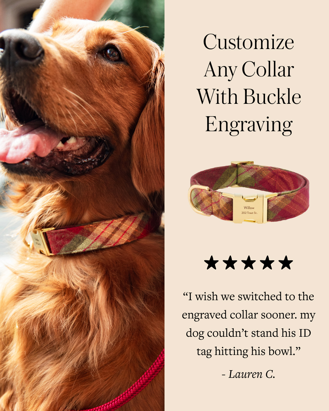 The Foggy Dog Facebook ad