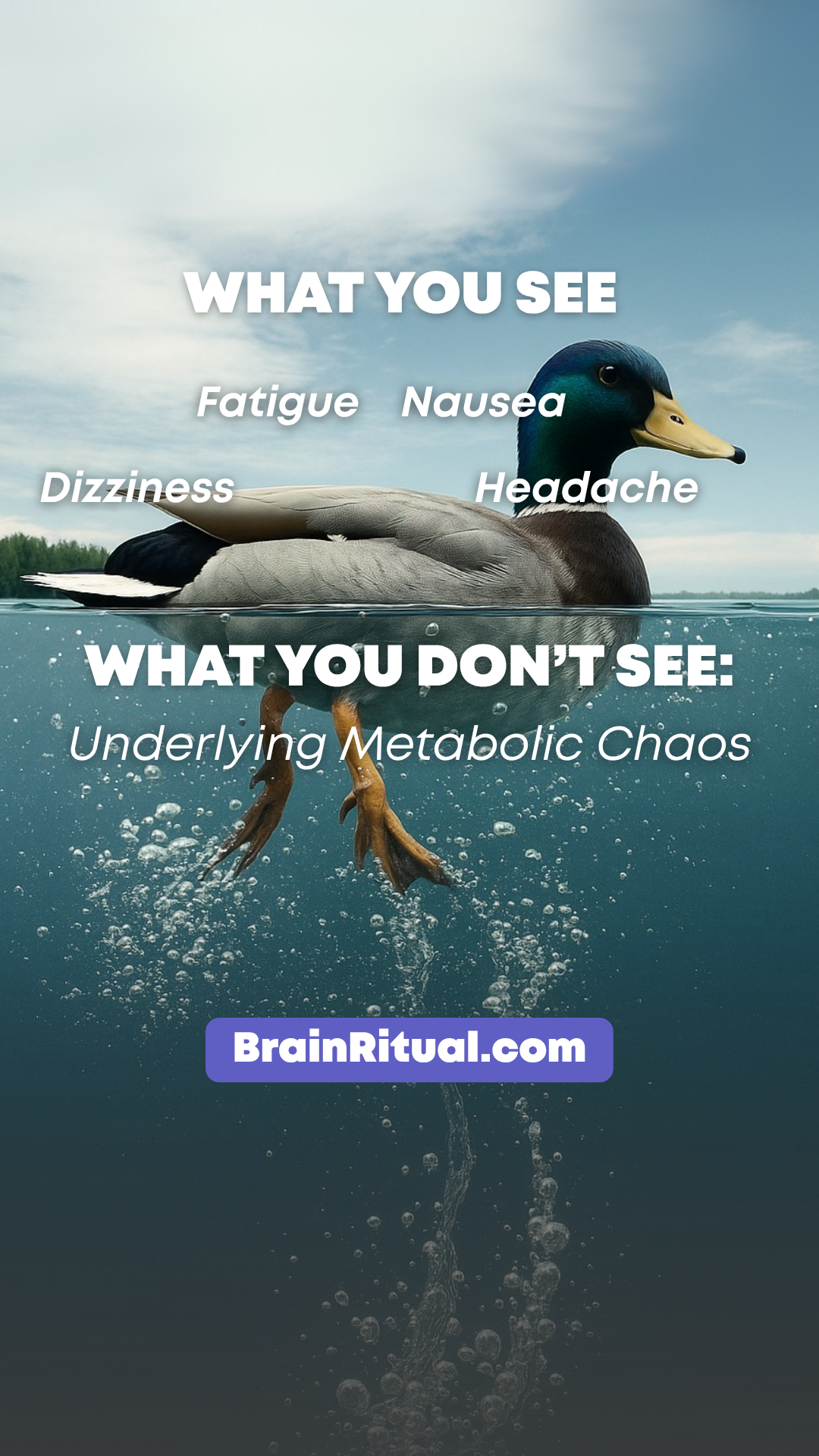 Brain Ritual Facebook ad: Brain Ritual - Loved By Women In the USA!