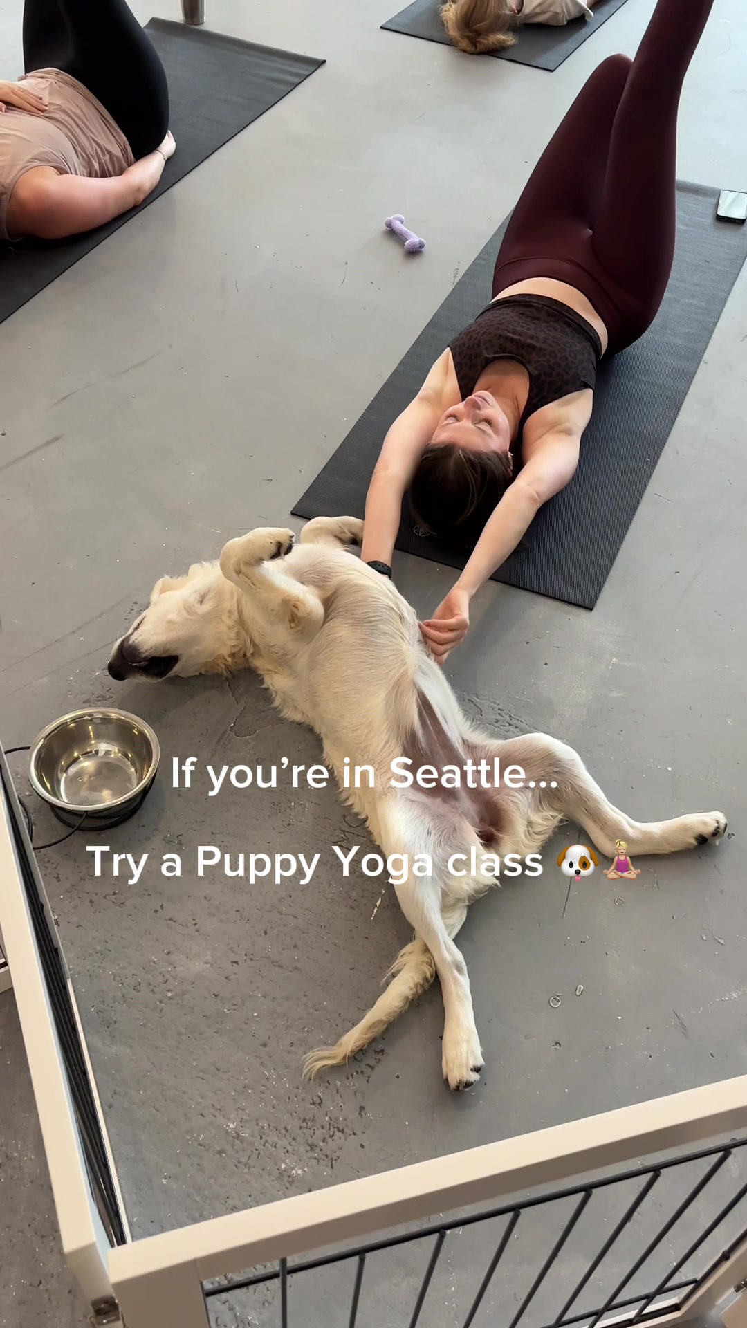 Puppies & Yoga Seattle Facebook ad: Book your class now!