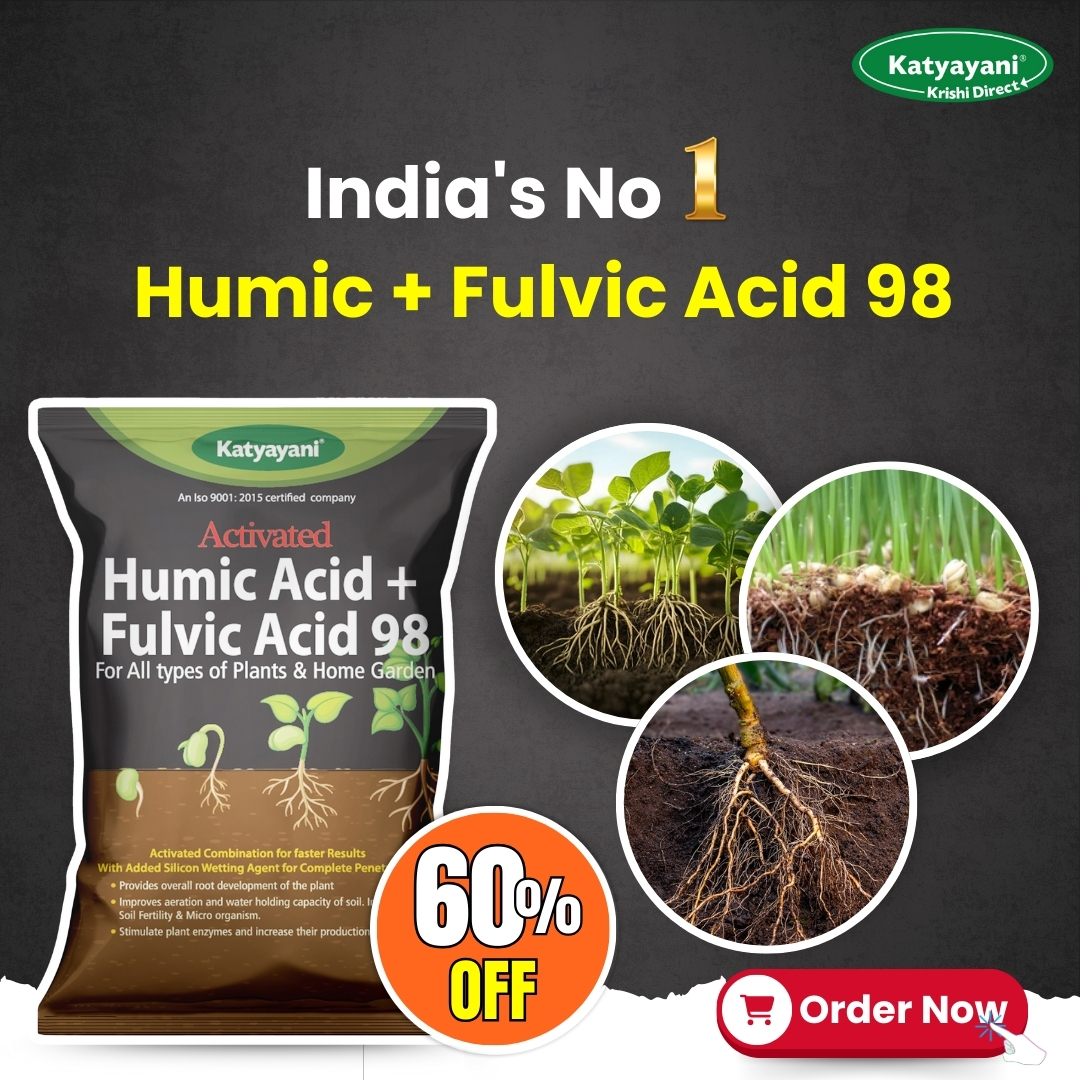 Katyayani Organics Facebook ad