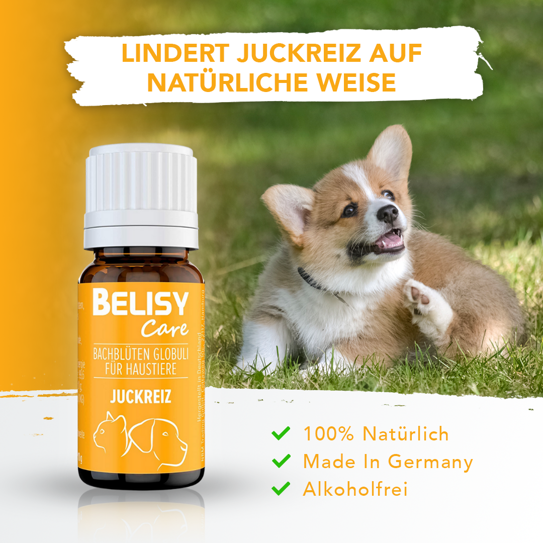 Belisy Facebook ad