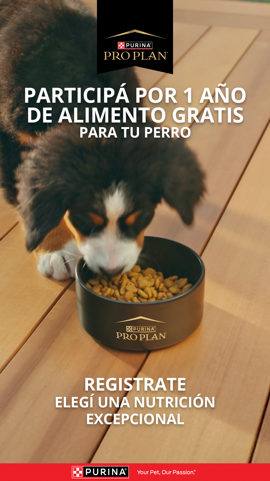 Purina Pro Plan Facebook ad from Apr 30, 2026