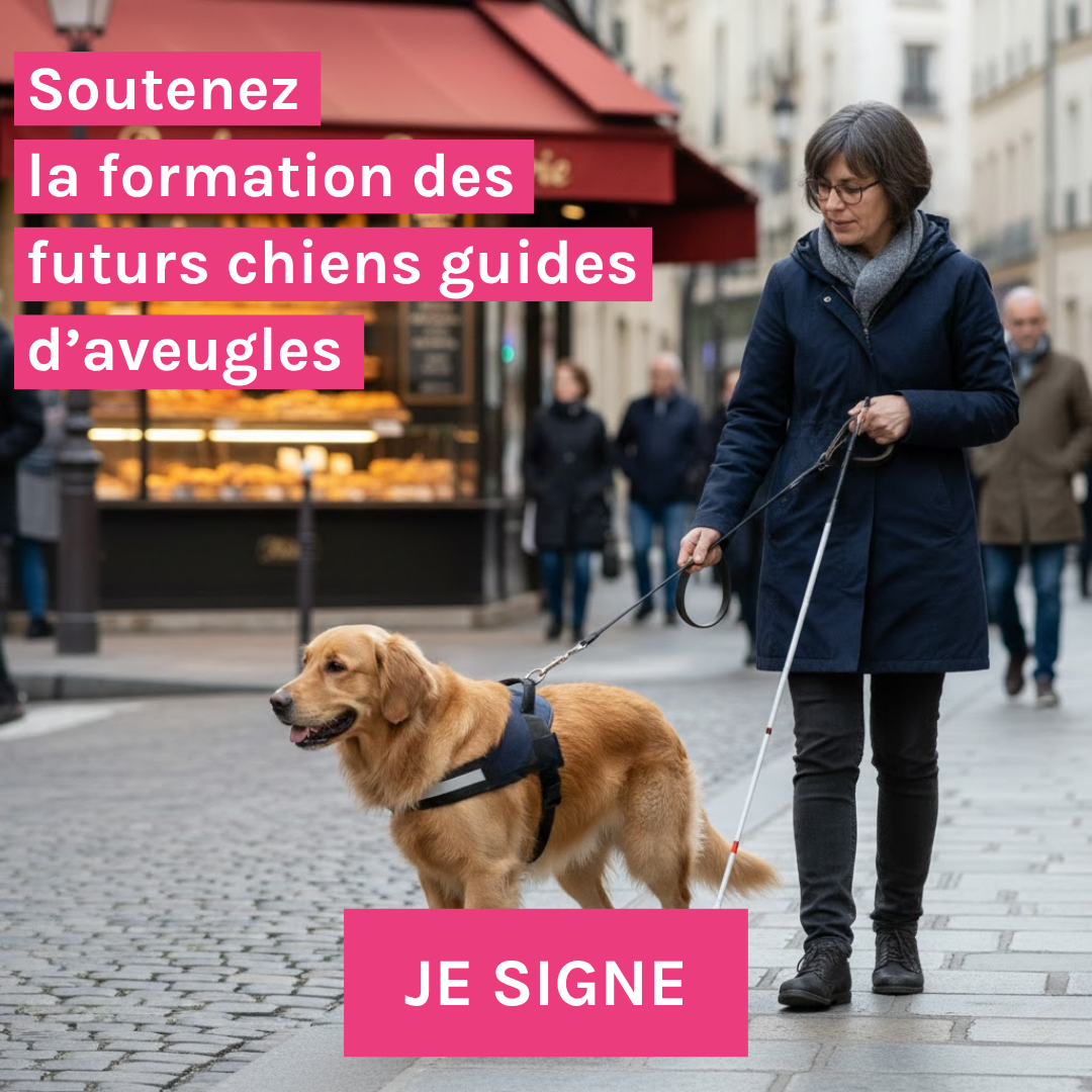 Unadev - Union Nationale des Aveugles et Déficients Visuels Facebook ad from Jun 3, 2026