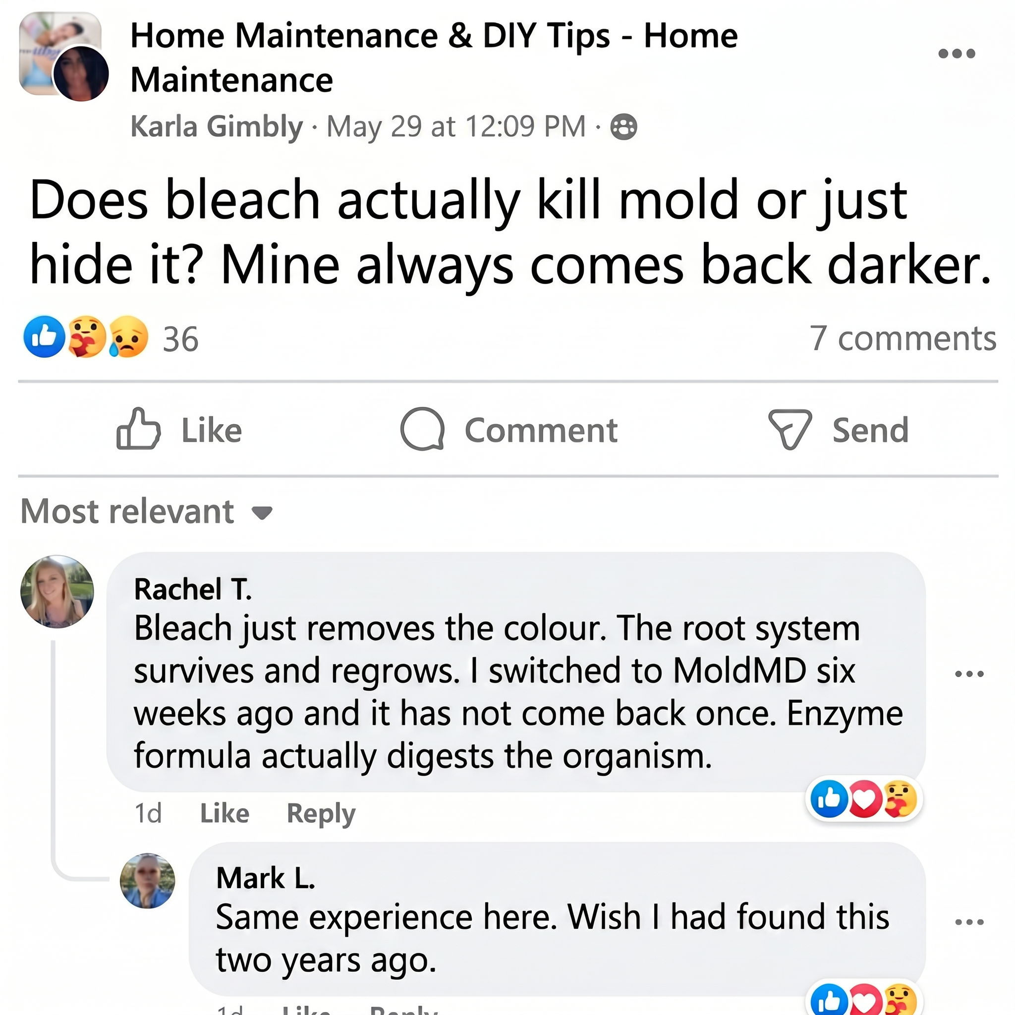 Mold MD Facebook ad