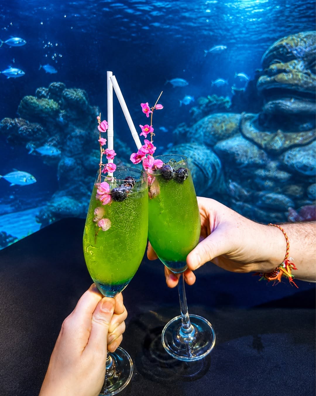 Su Va Na Facebook ad: Here's to unforgettable evenings.