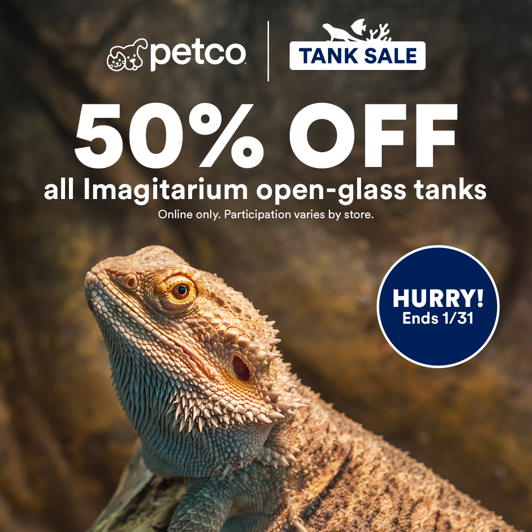 Petco Facebook ad