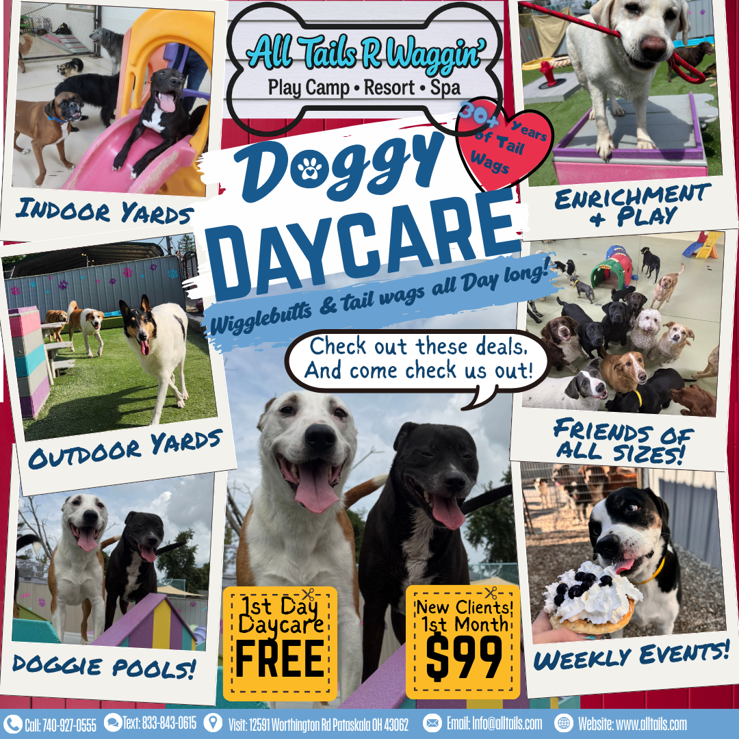 All Tails 'R' Waggin'-Pataskala, Oh Facebook ad: Looking for doggy daycare?