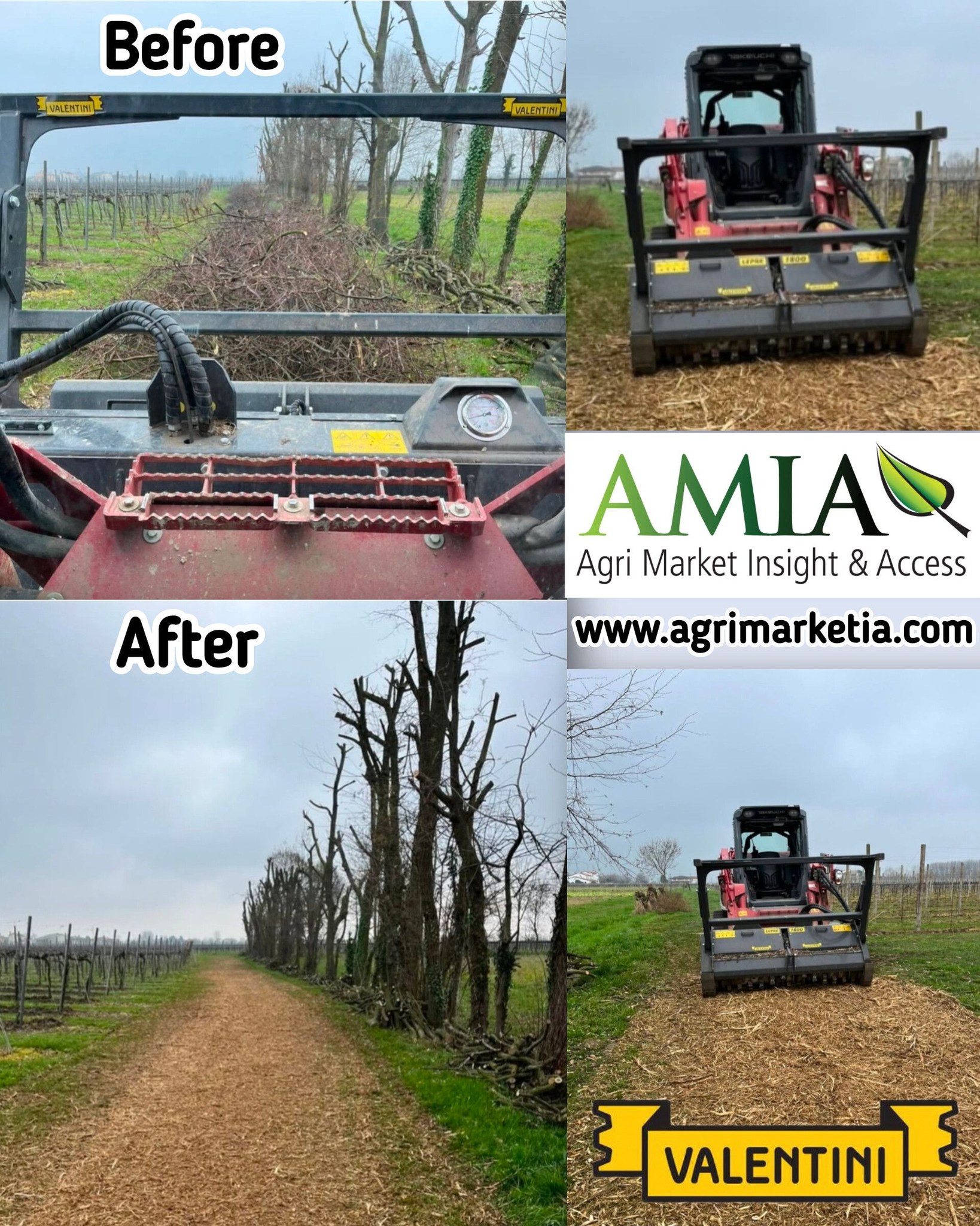 Agri Market Insight & Access Ltd Facebook ad: Forestry Bush Mulcher-Valentini LEPRE