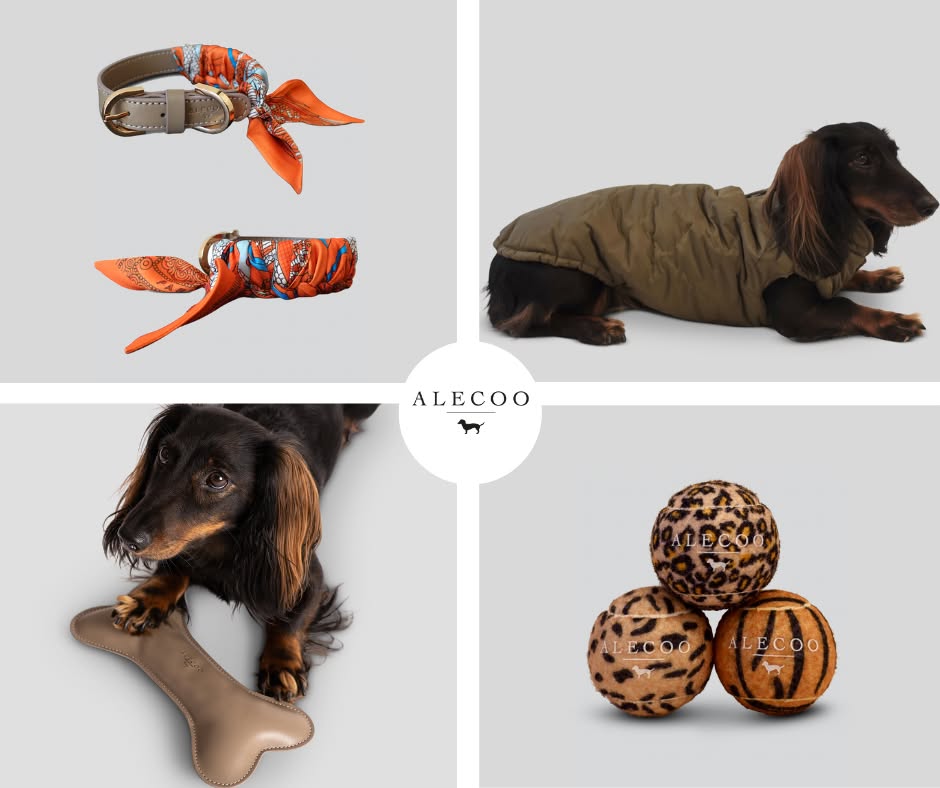 Alecoo Facebook ad: Timeless essentials for dogs with style.