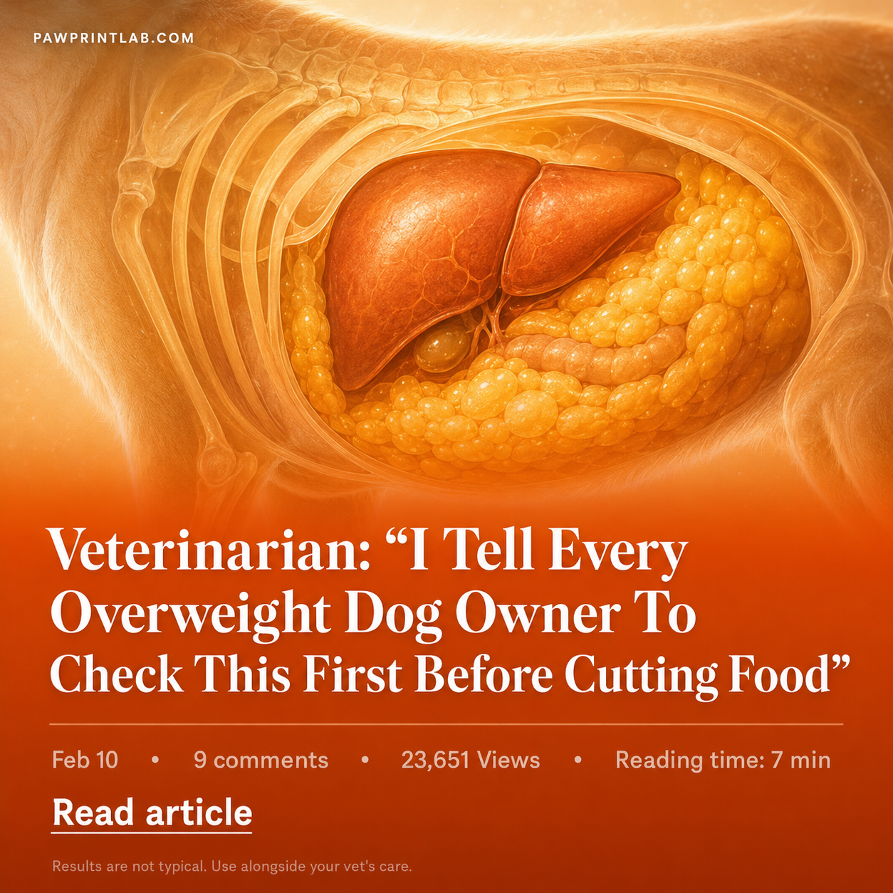 Vet-Approved Pet Products Facebook ad