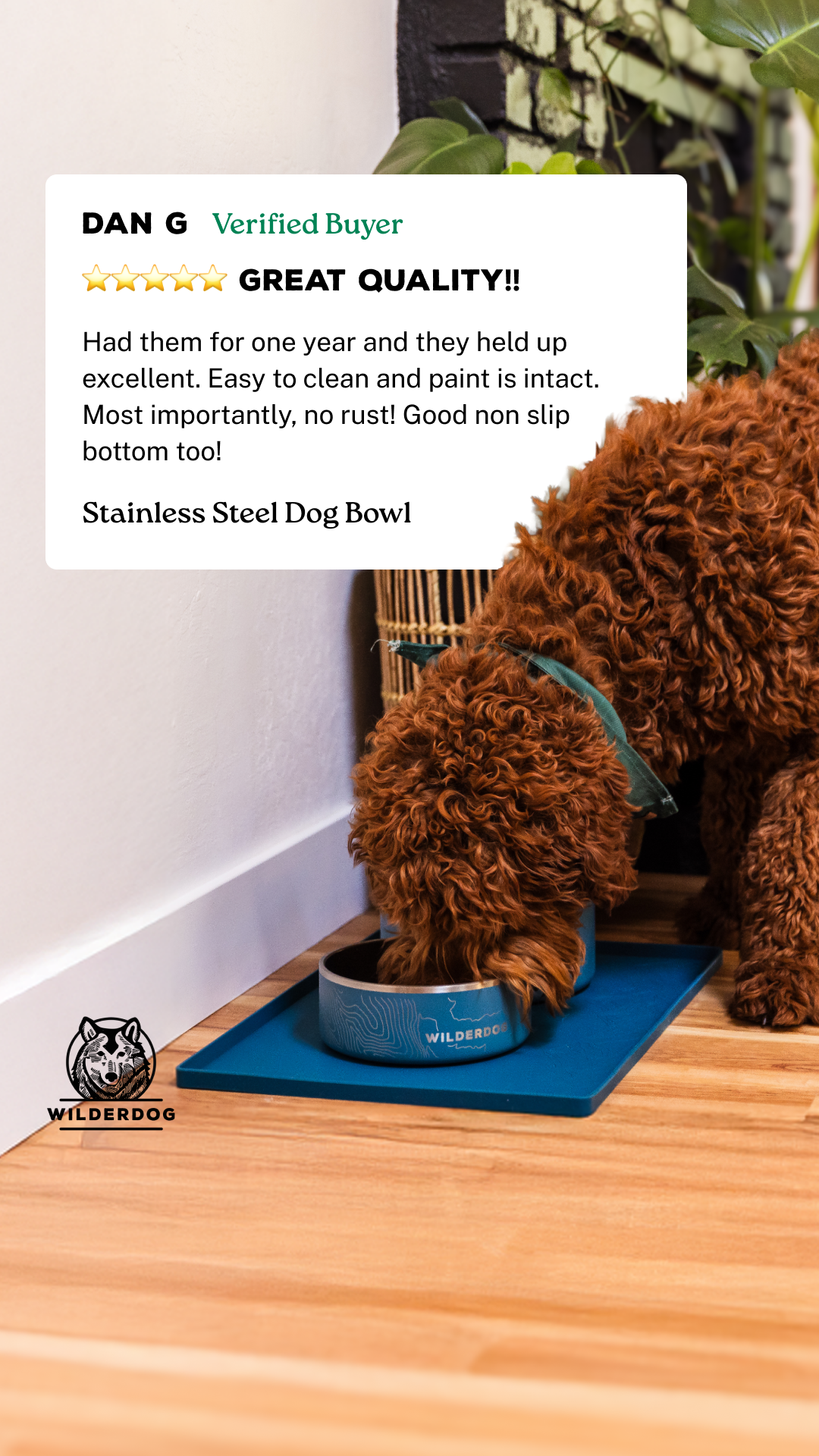 Wilderdog Facebook ad