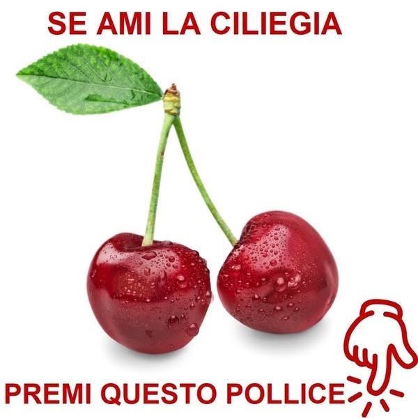 Notizie e Storie di Vita Facebook ad