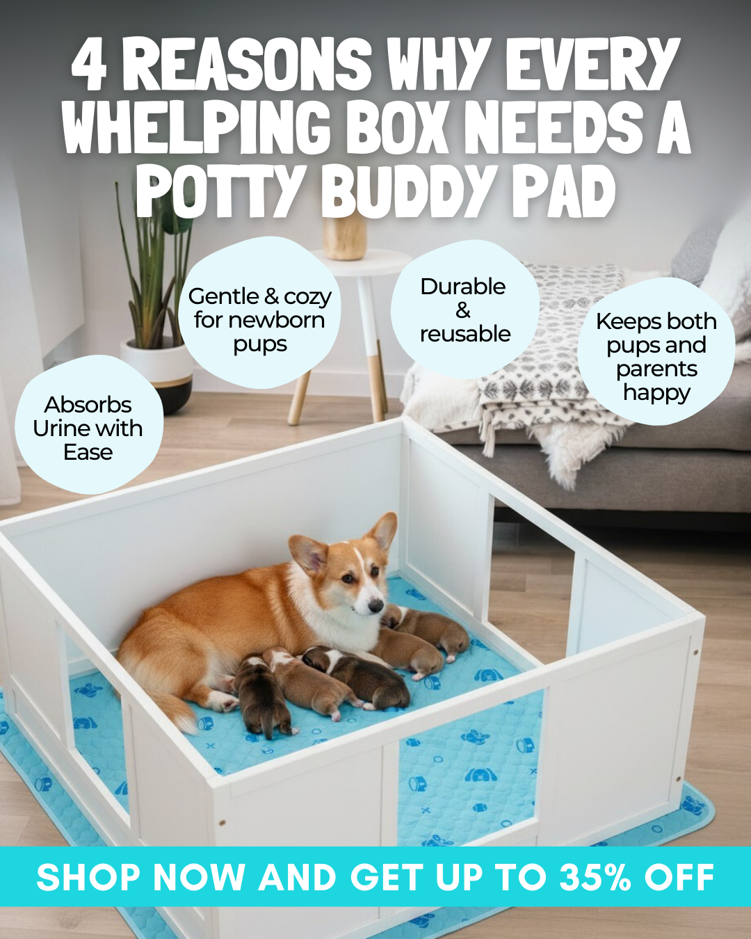 Potty Buddy Facebook ad