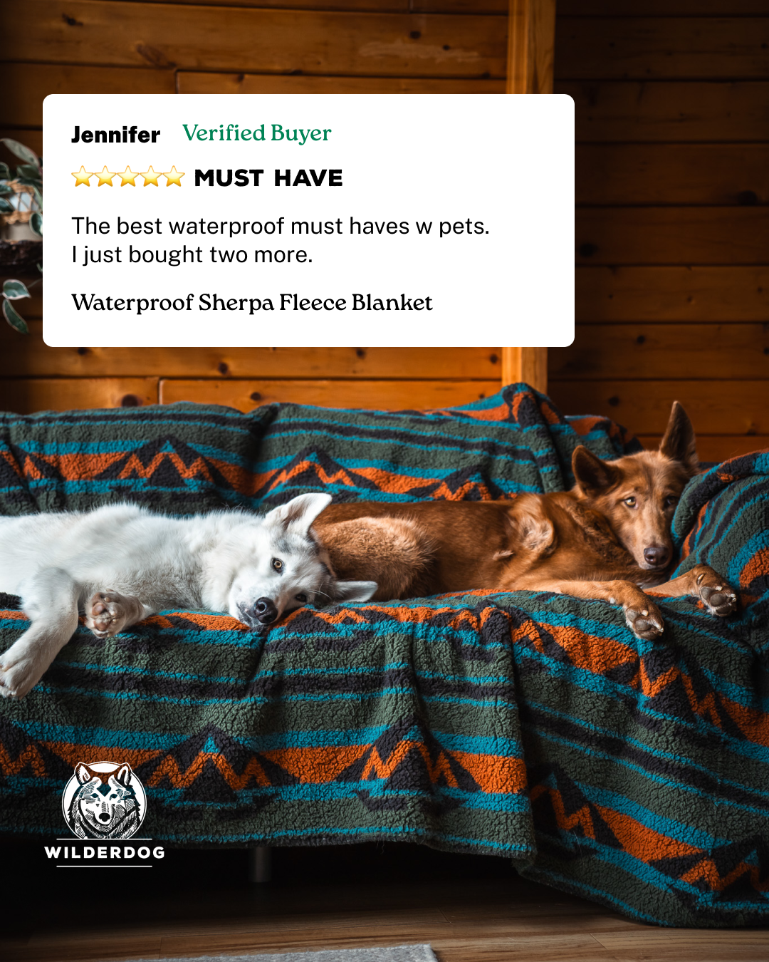 Wilderdog Facebook ad