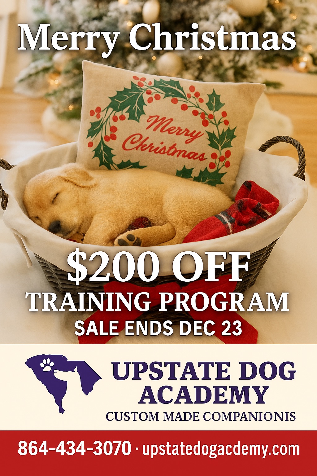 Upstate Dog Academy, Greenville SC LLC Facebook ad: Upstate Dog Academy, LLC - Greenville, SC
