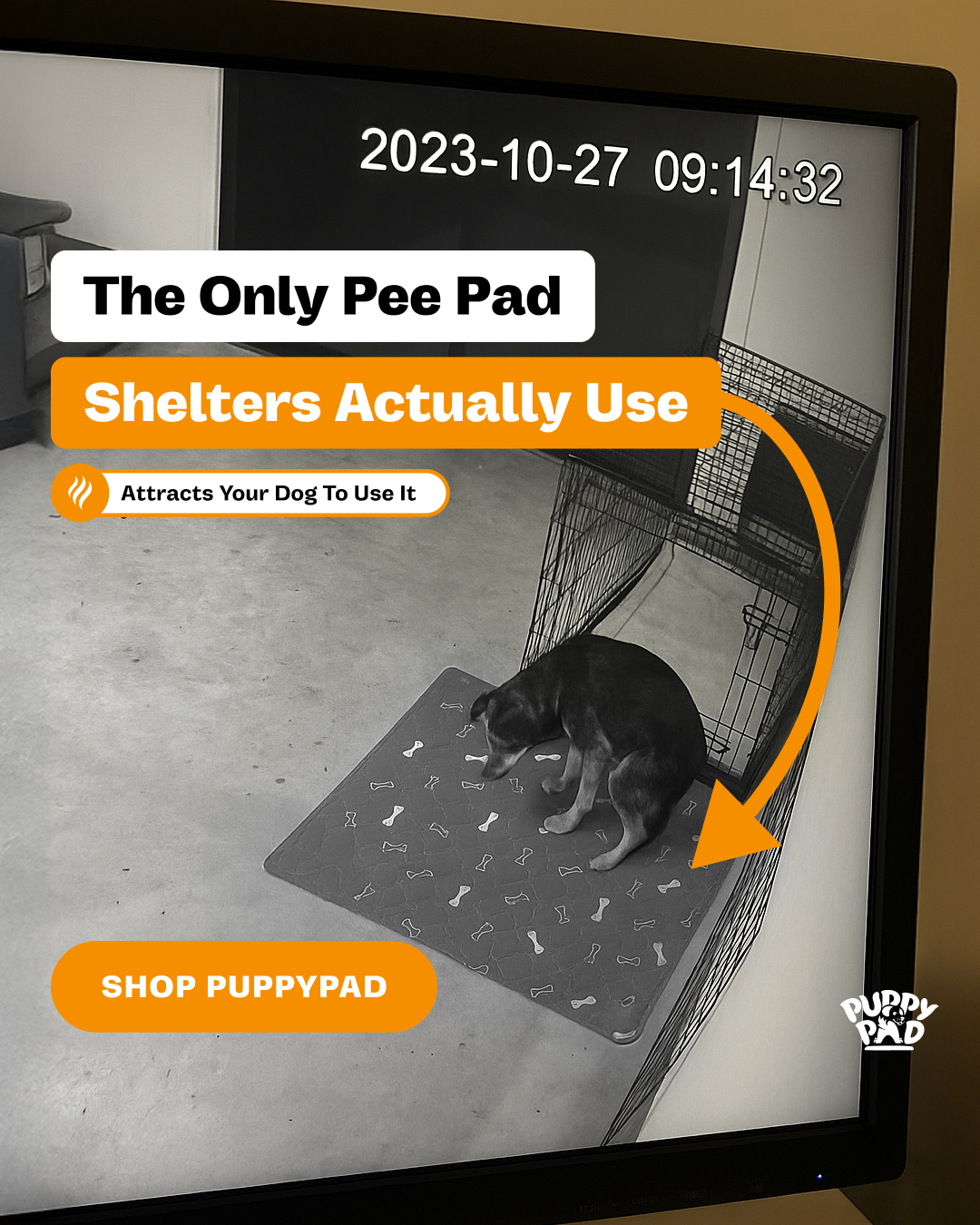 PuppyPad Facebook ad