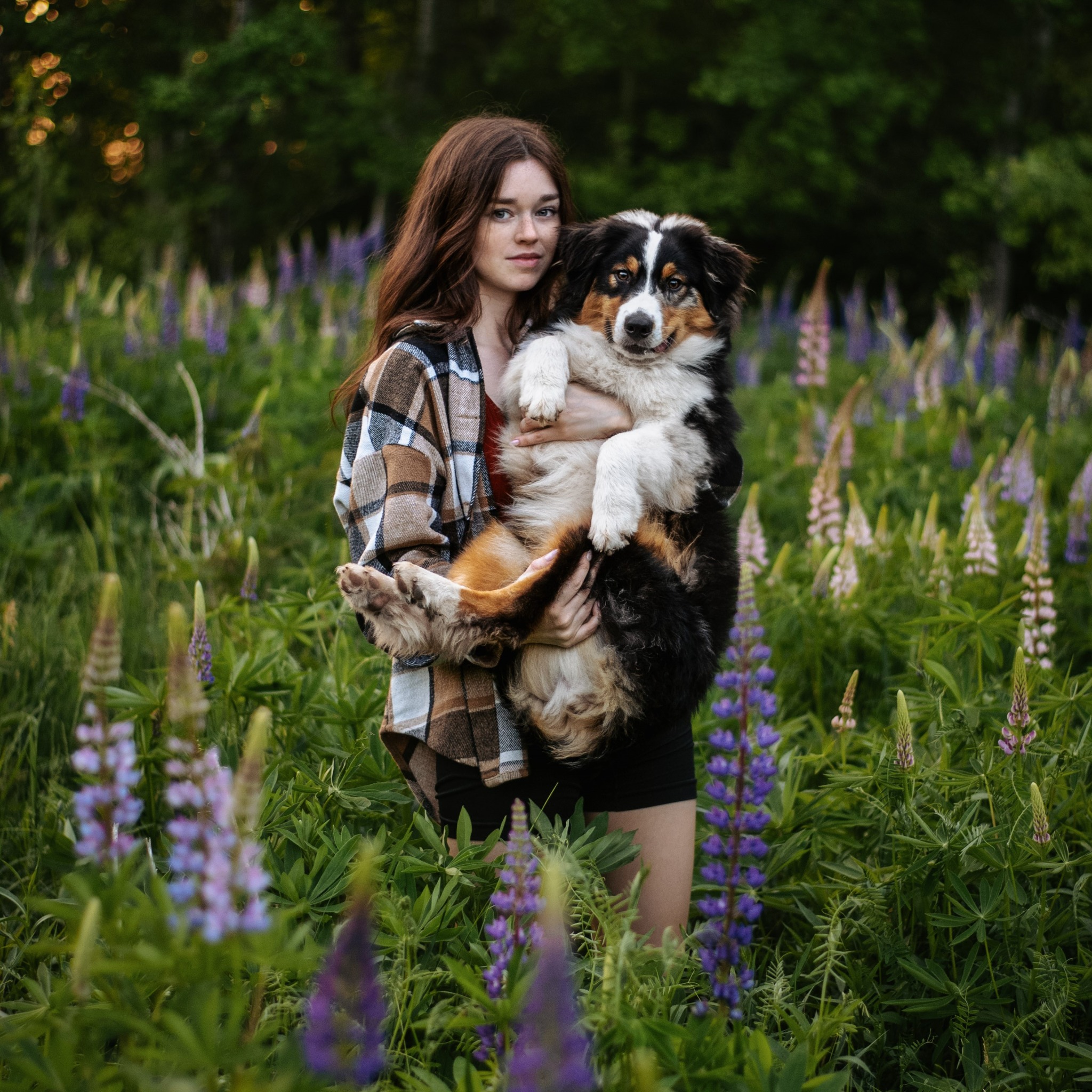 SpiritDog Training Facebook ad