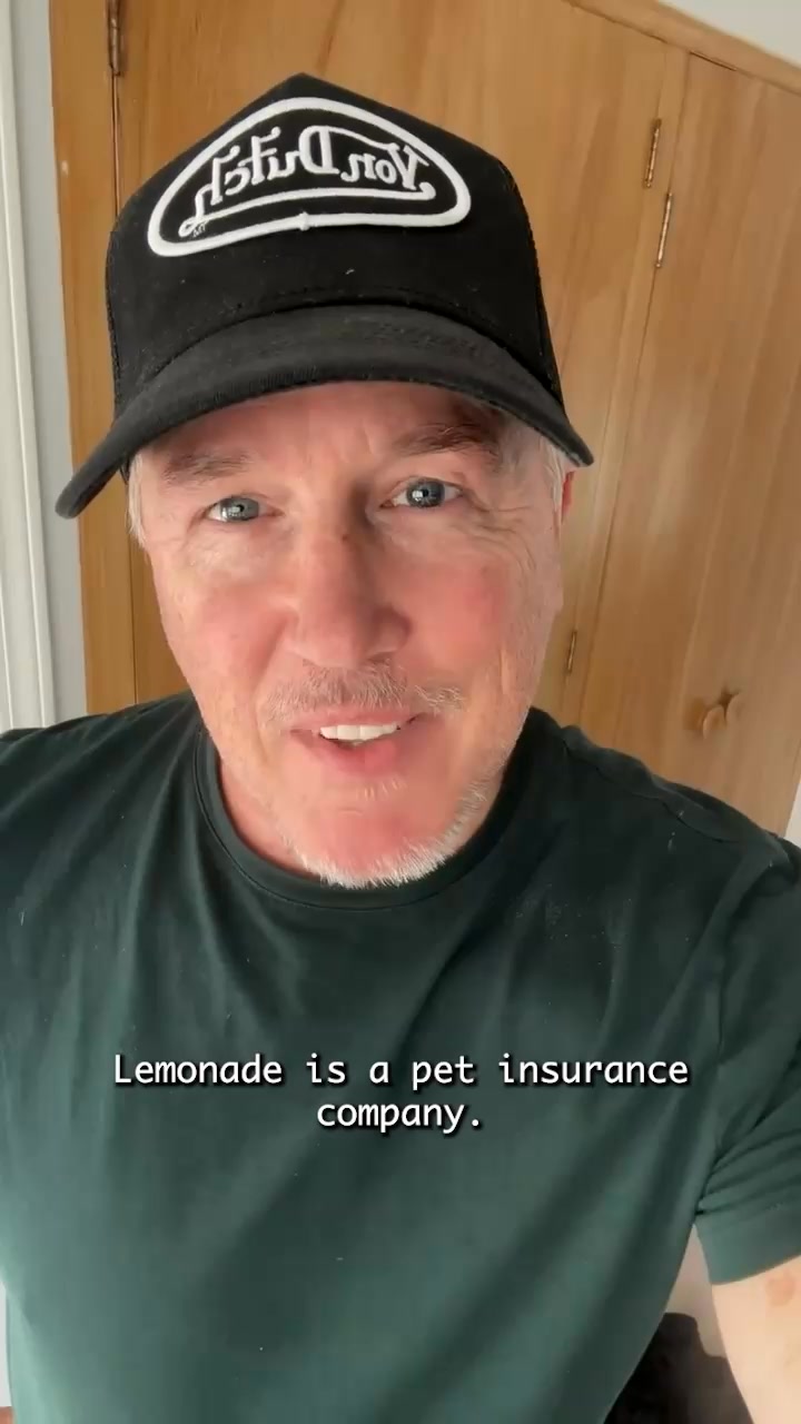 Lemonade Facebook ad: Lemonade Pet Insurance