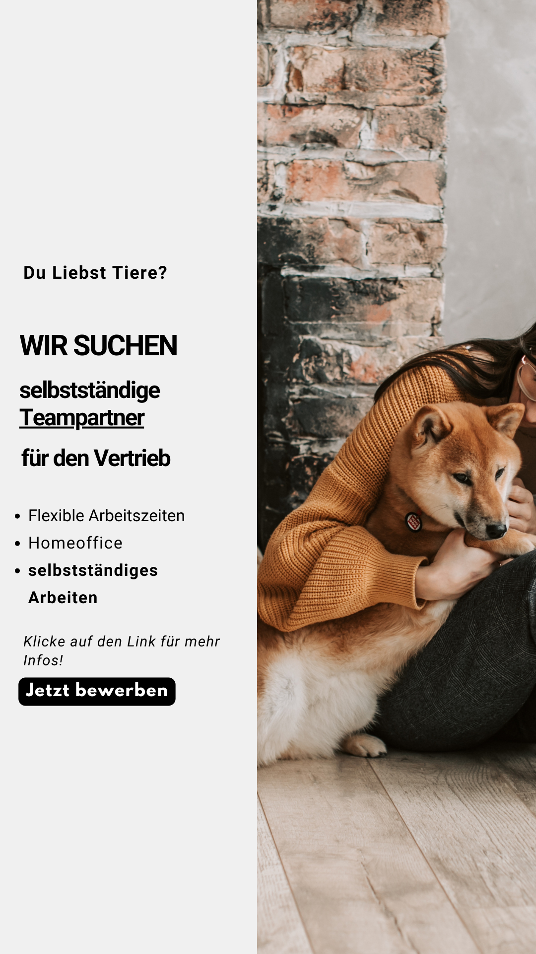 Hundefutter-Ratgeber.info Facebook ad from May 11, 2026