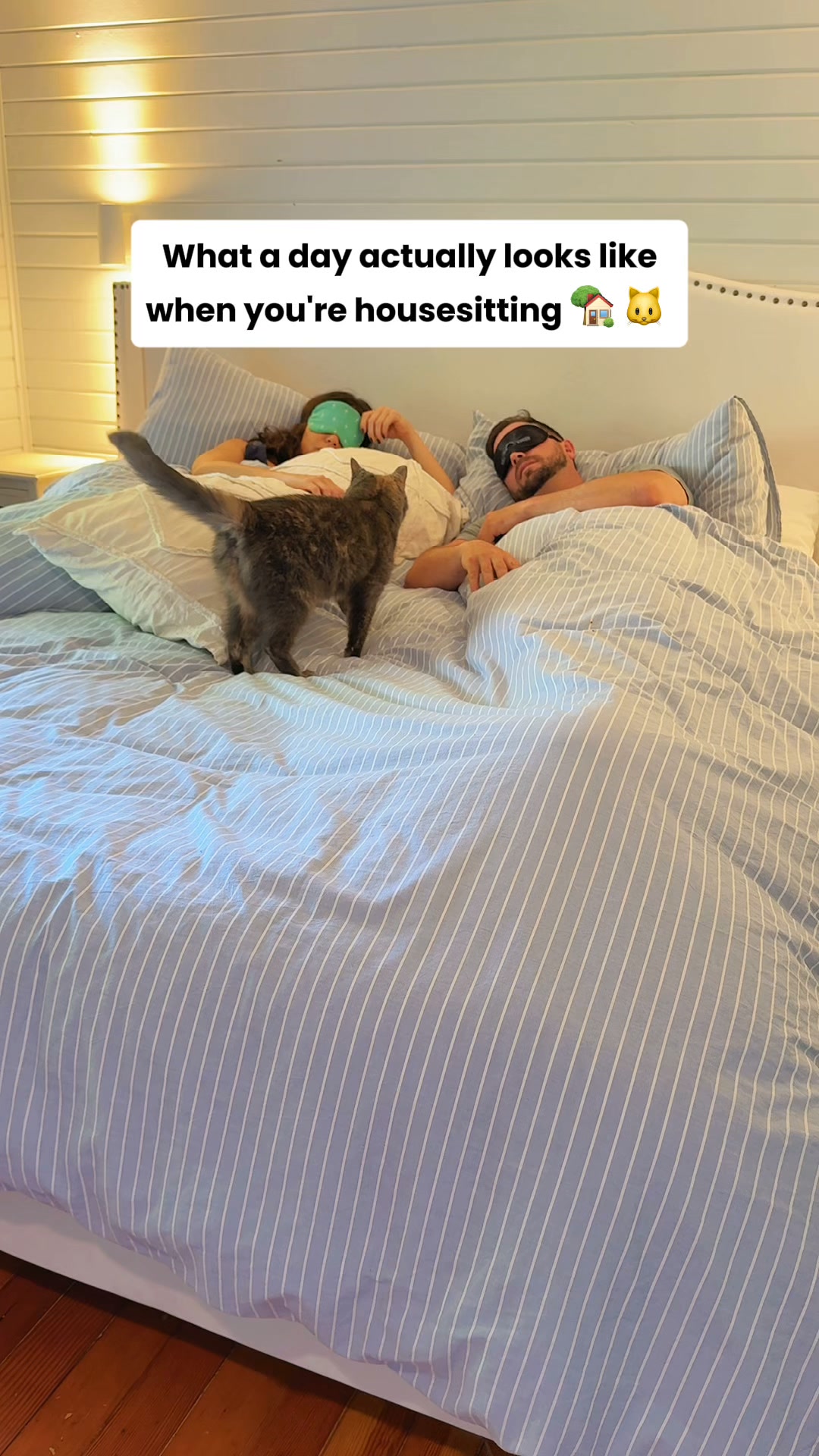 TrustedHousesitters Facebook ad: See the world by pet sitting