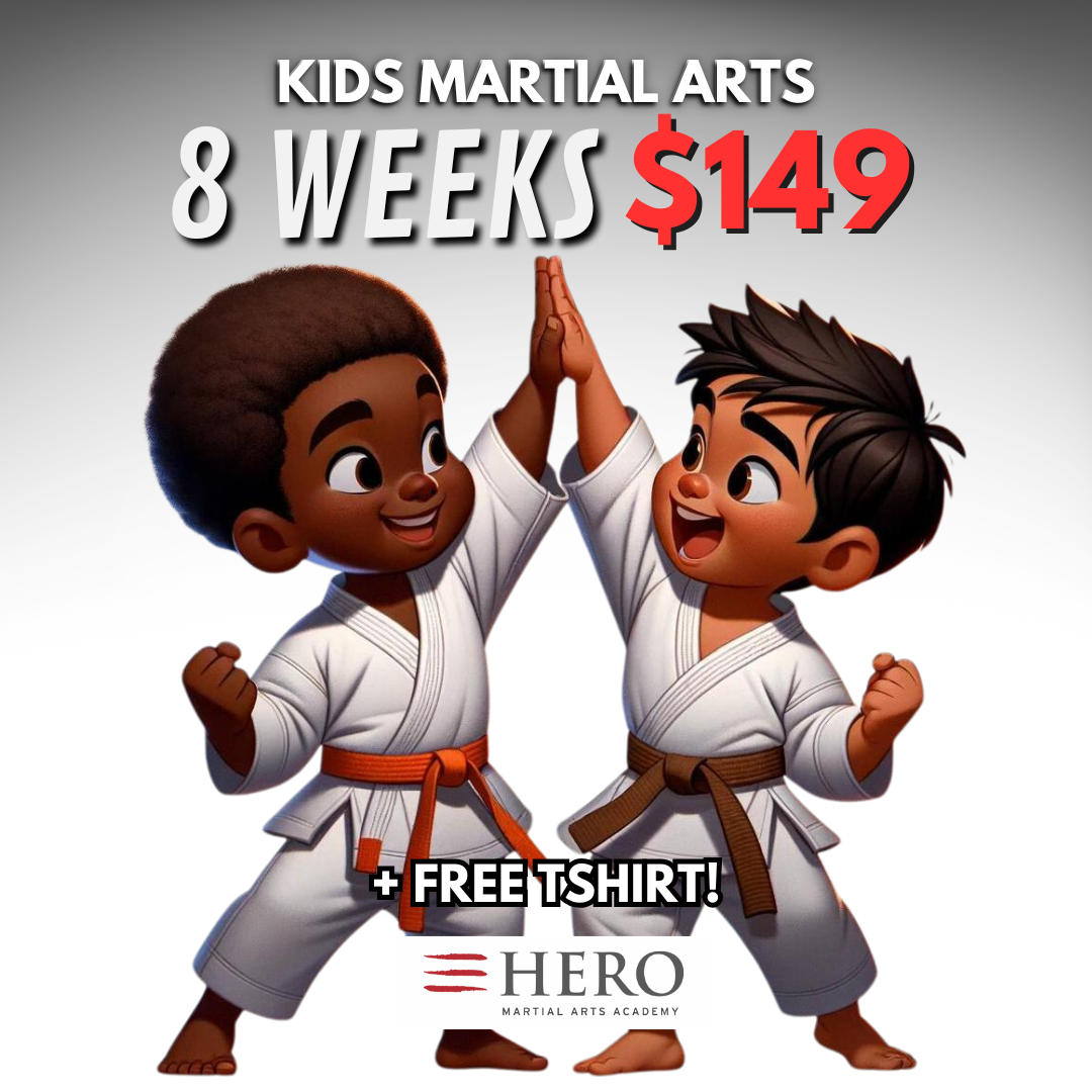 Hero Martial Arts & Leadership Academy Facebook ad
