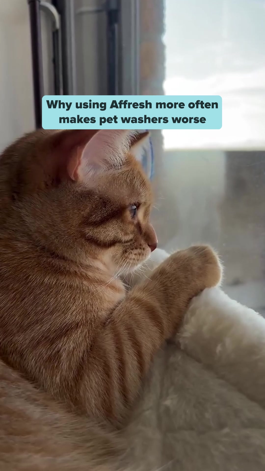 Uproot Clean Facebook ad: If you've ever rewashed the same load twice…