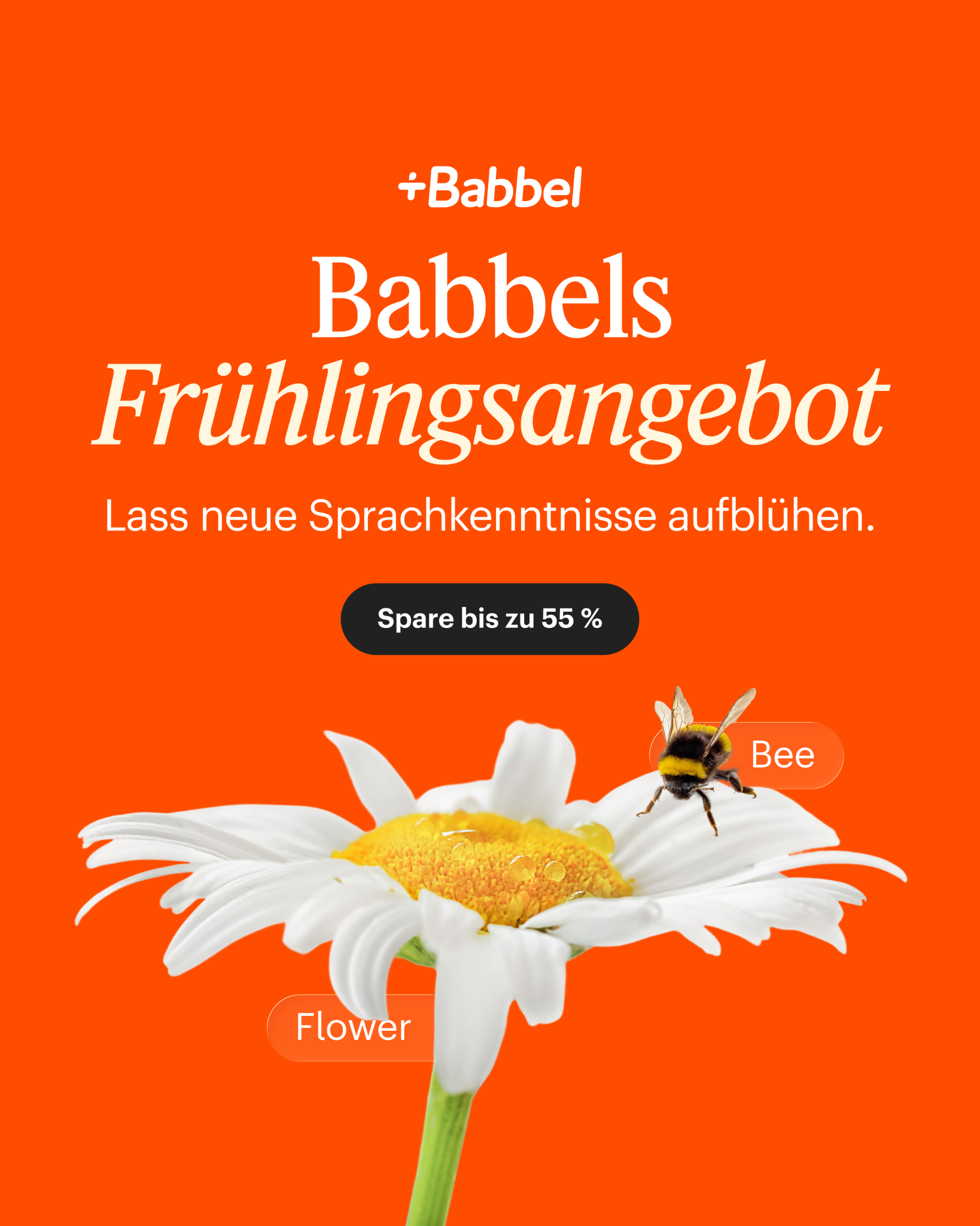 Babbel Facebook ad
