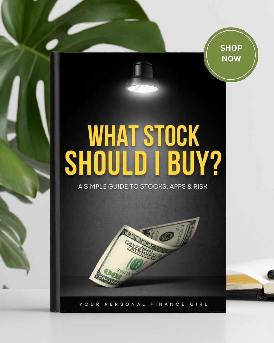 Your Personal Finance Girl Facebook ad: What Stock Should I Buy? (Ebook)