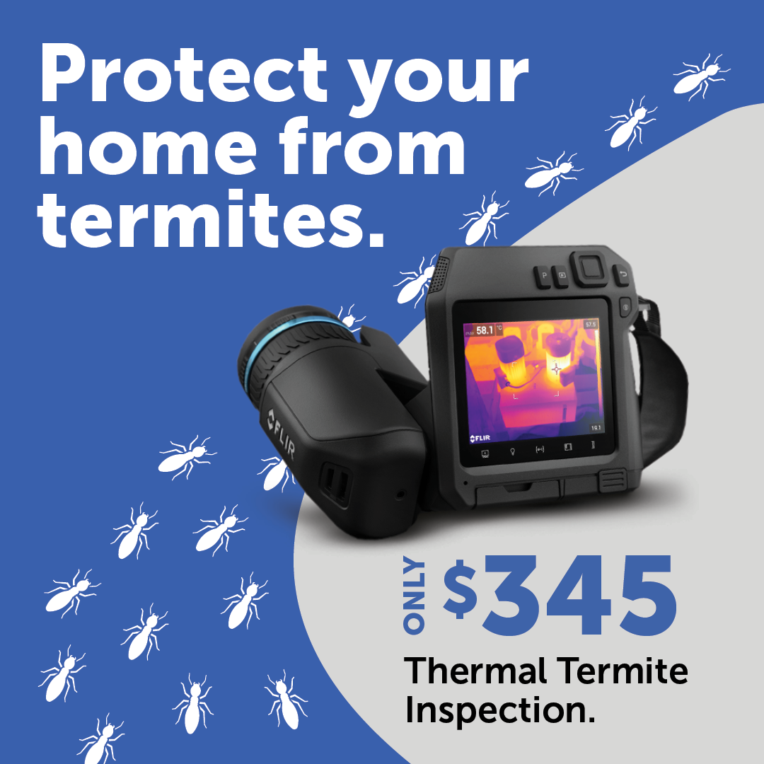 Coast Pest Solutions Facebook ad: $345 Thermal Termite Inspection