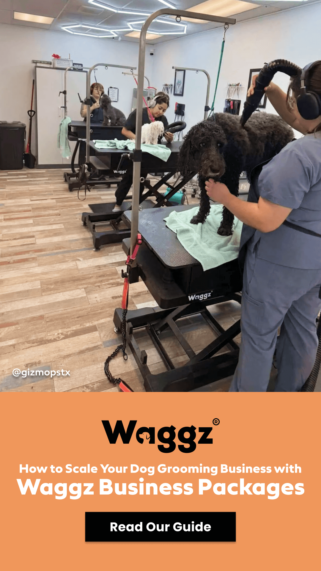 Waggz Facebook ad