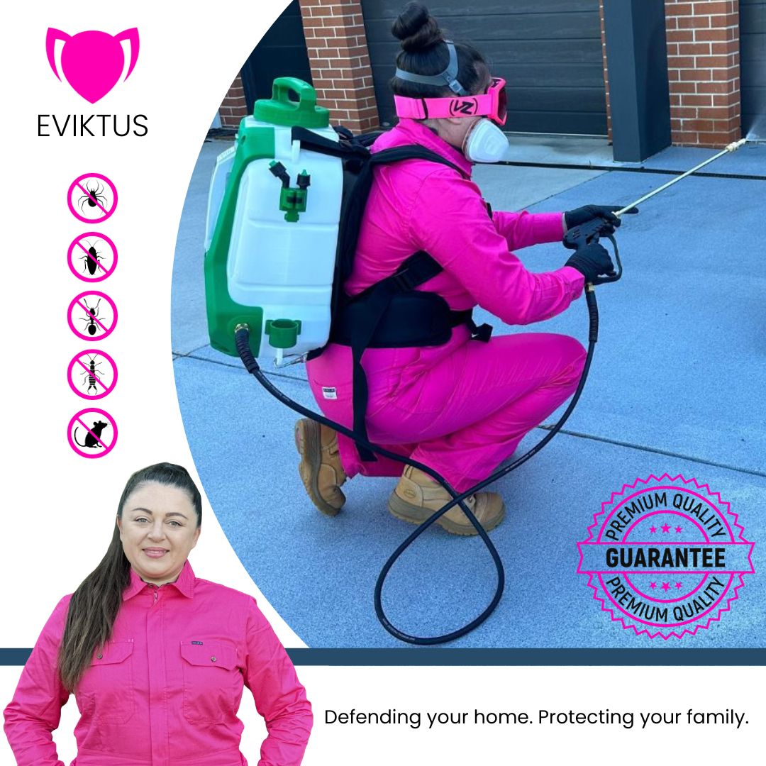 Eviktus - Pest Control Facebook ad: Limited Time Special Offer
