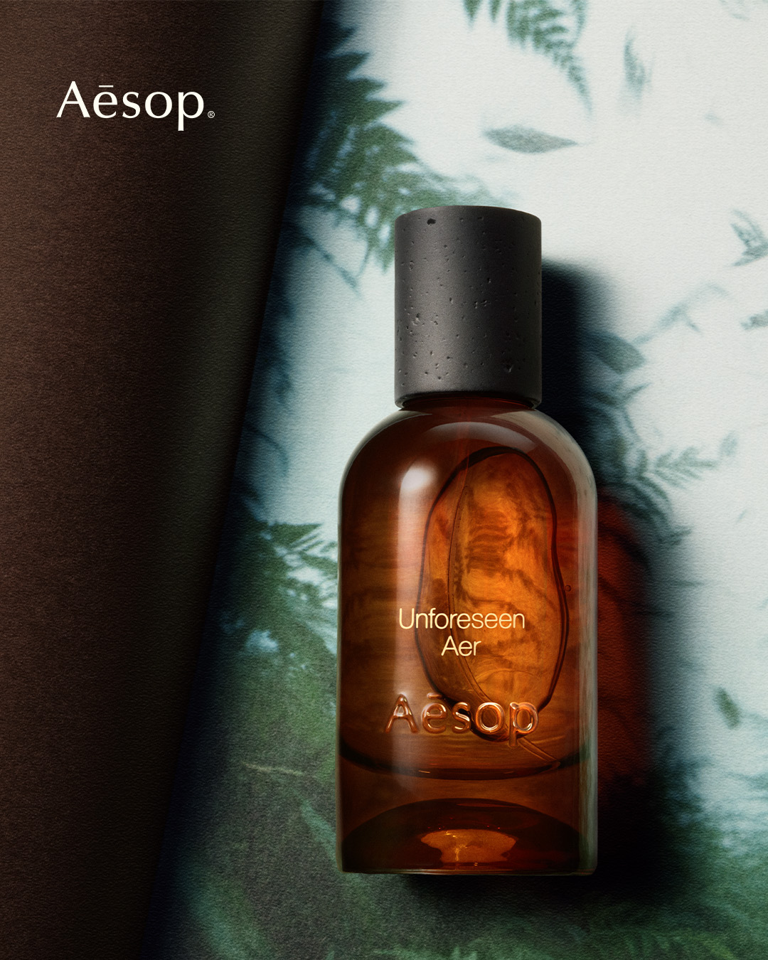 Aesop Facebook ad