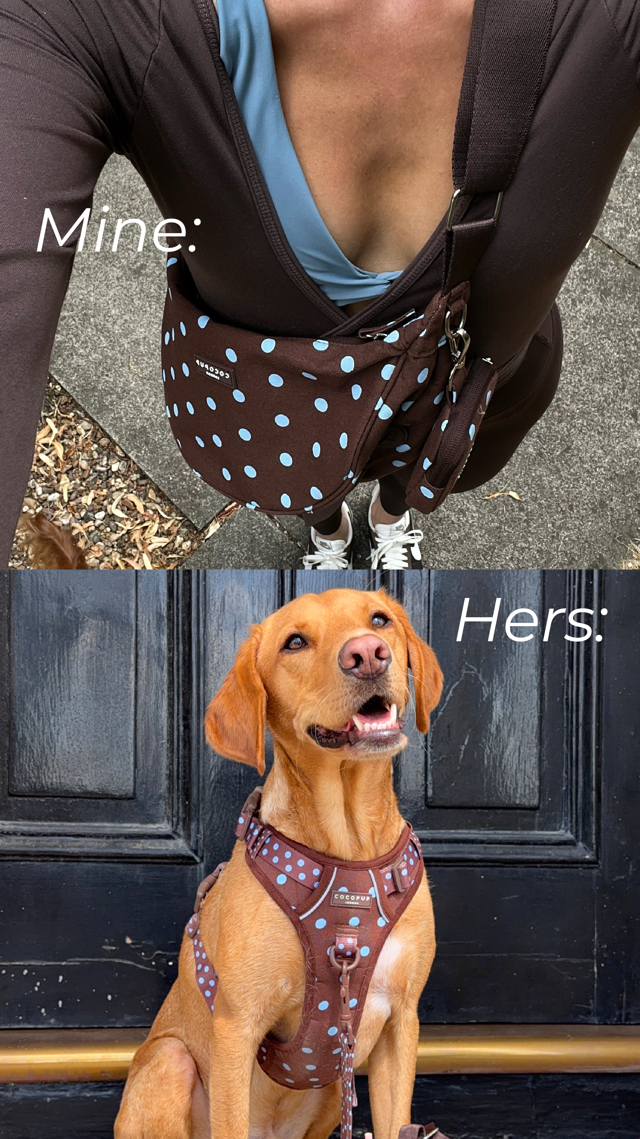 Cocopupuk Facebook ad: Match With Your Pup