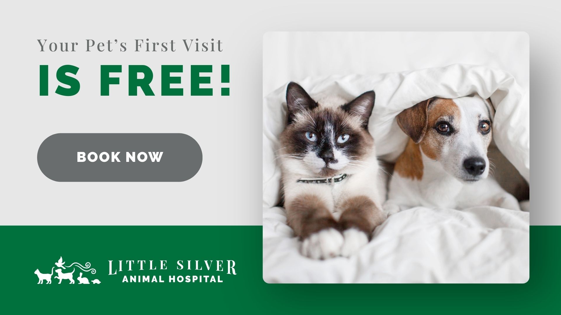 Little Silver Animal Hospital Facebook ad from Jul 7, 2026
