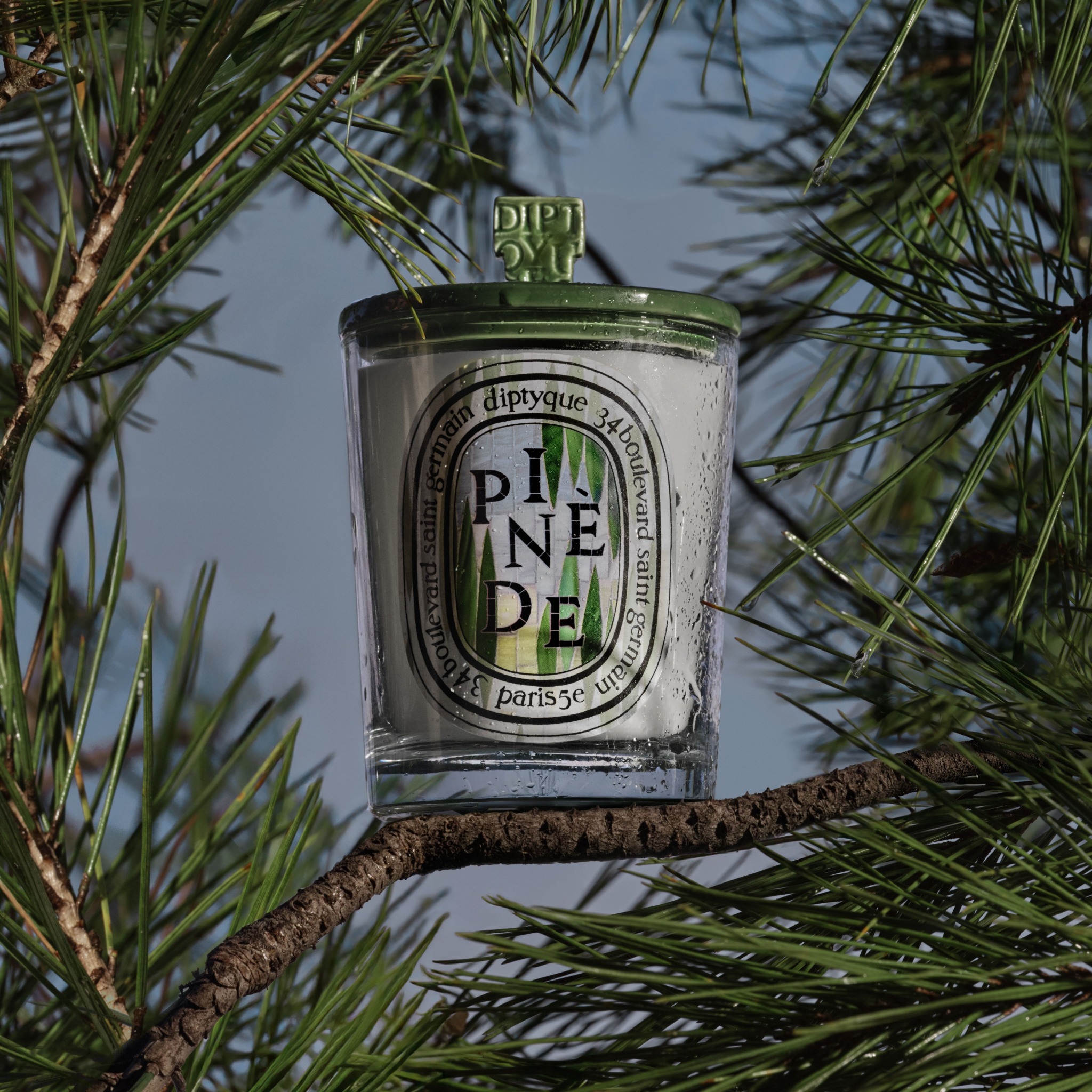 diptyque Facebook ad