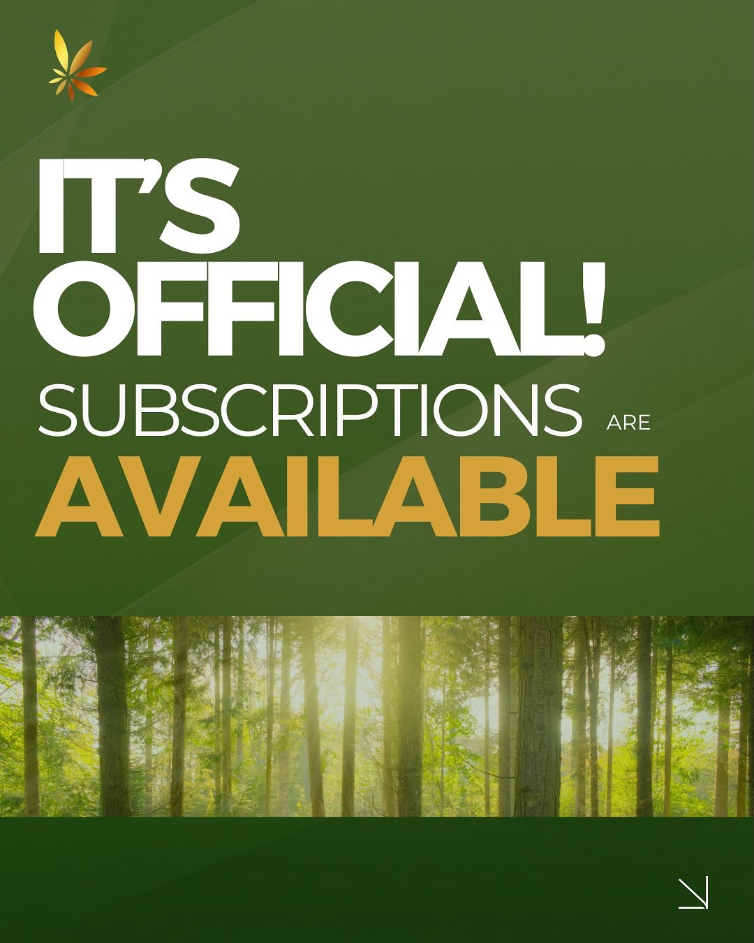 Garden of Life Community Facebook ad: Ready to turn your monthly support into real…