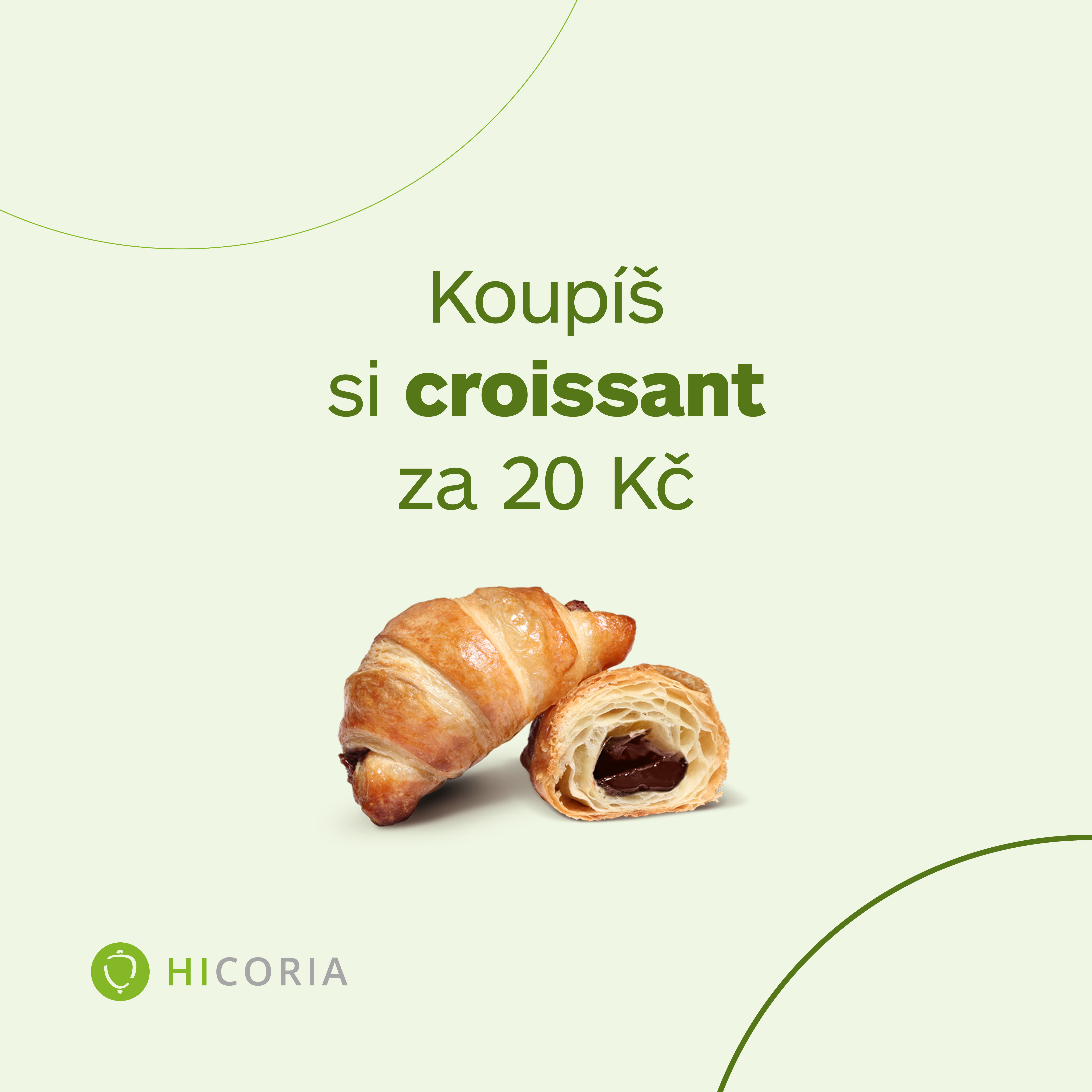 Hicoria Hosting Facebook ad: Hicoria - Game, Voice and VPS hosting