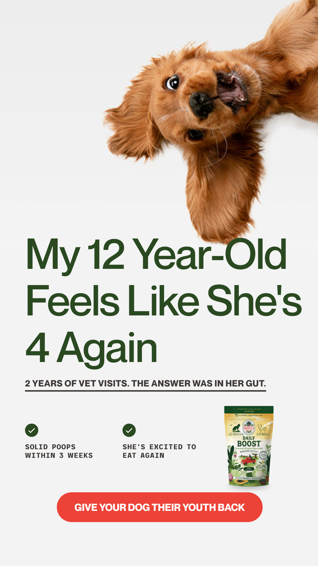 Gussys Gut Facebook ad
