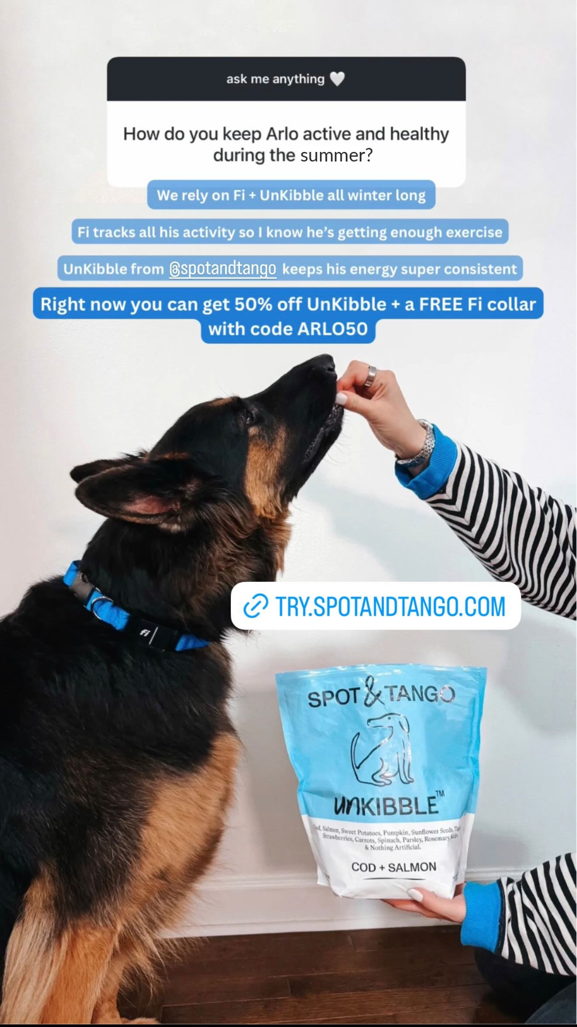 Arlo Facebook ad: 50% Off + FREE Fi Collar ($99 Value)