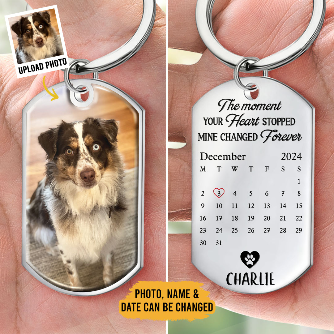 The Pawfect House Store Facebook ad